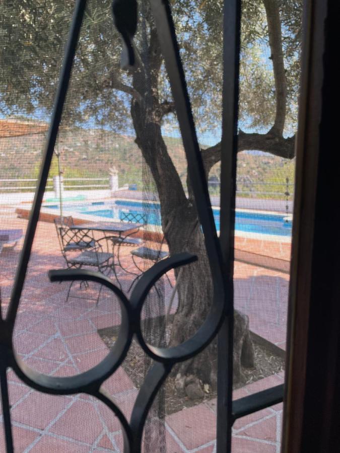 Viva Espana Bed & Breakfast